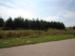 4790-S/L Autumn Run Dr #20, Medina, OH 44256