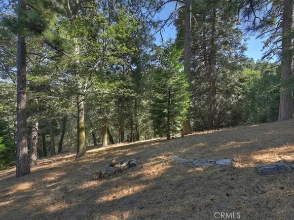 0 Pine Dr #16, Cedarpines Park, CA 92322