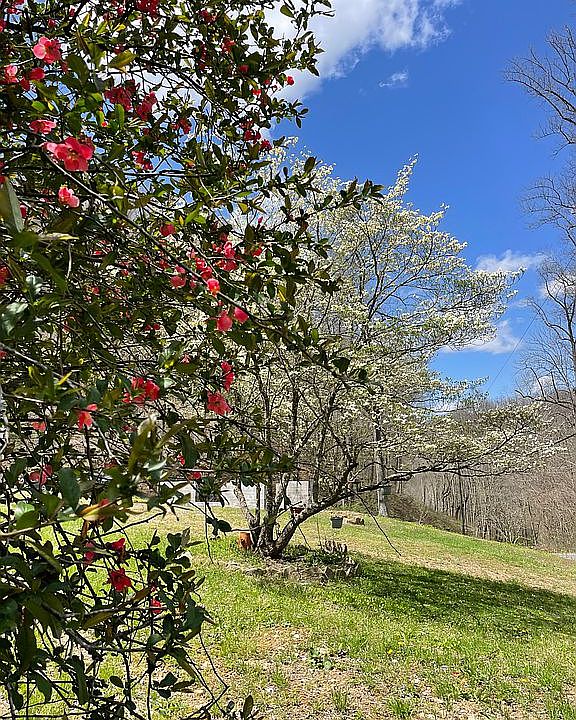 2nd image of 824 Toneys Frk