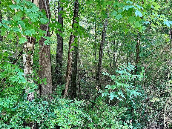 4th image of 0 Old Cleveland Pike