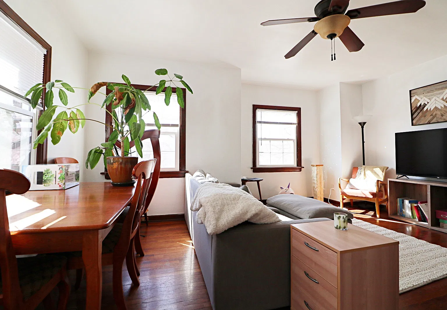 1 bed, 685 sqft, $1,200 — Photo 3