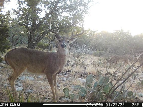 4th image of 1512 Persimmon Rd #35