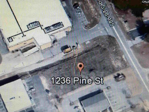 1236 Pine St, Elgin, SC 29045