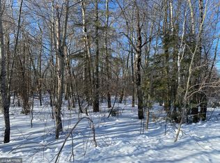 Xxx Driftwood St, McGregor, MN 55760