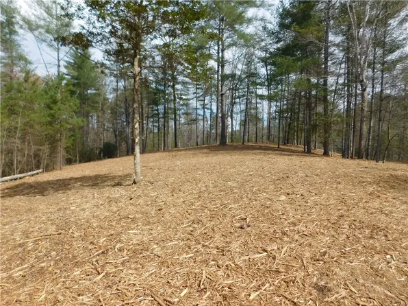 114 Horseback Trl, Sunset, SC 29685