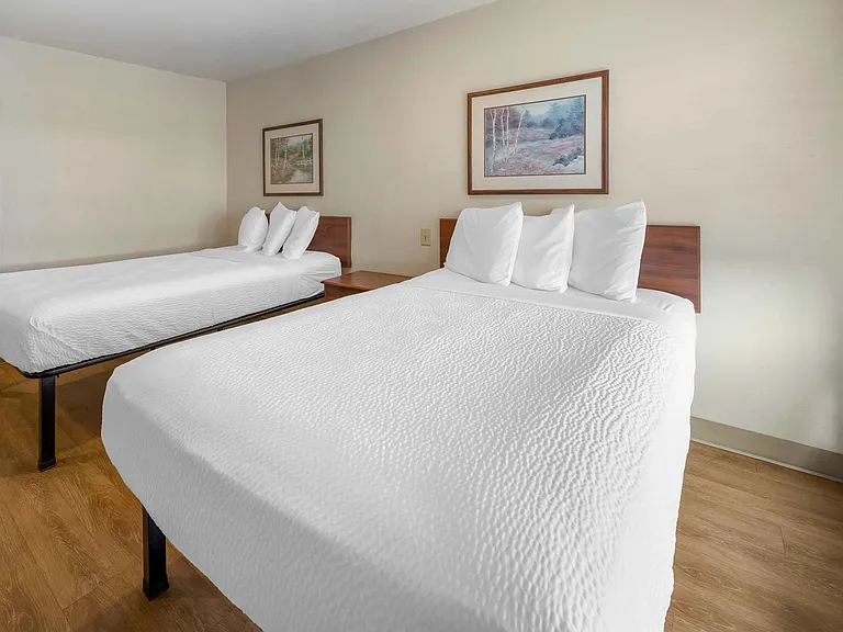 Studio Suite - 2 Full Beds