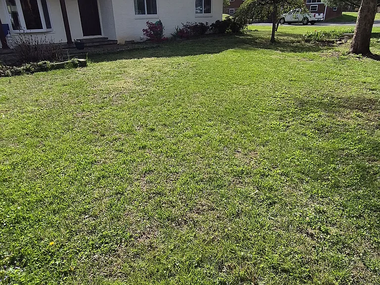 259 Fairview School Cir — Photo 19