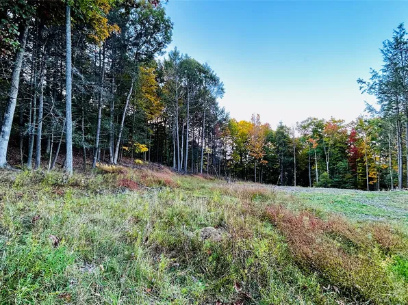 134 Red Fox Run Rd, Vestal, NY 13850