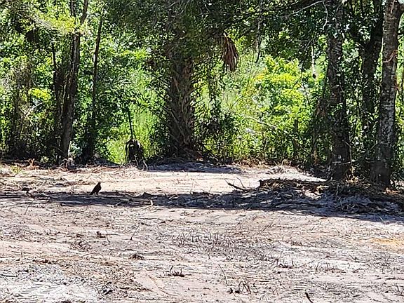 3rd image of 18884 NW 282nd Street