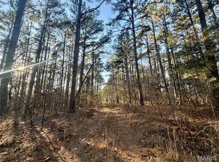 0 County Road 6575, Salem, MO 65560