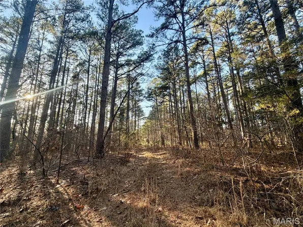 0 County Road 6575, Salem, MO 65560