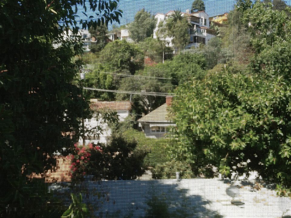 KITCHEN VIEW