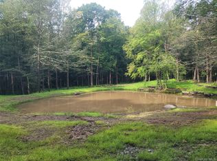 361 Ahrens Rd, Parksville, NY 12768