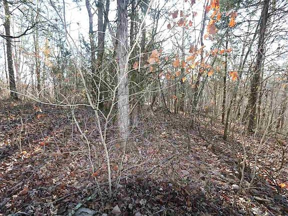 5th image of 5 Red Bud Ln #5