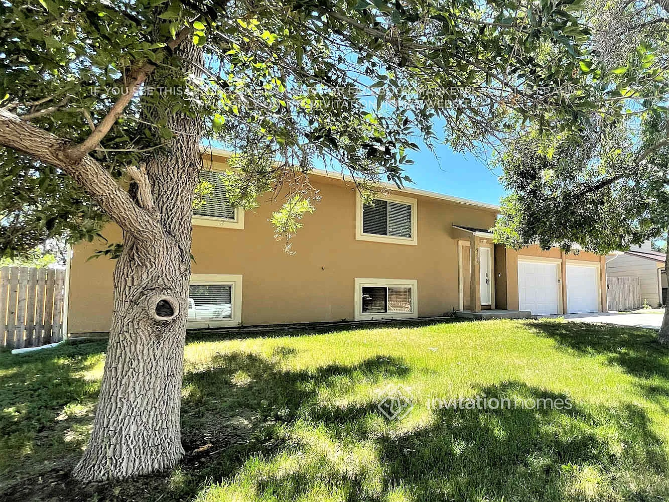 7595 Deer Trl Colorado Springs, CO 80911 — Photo 2