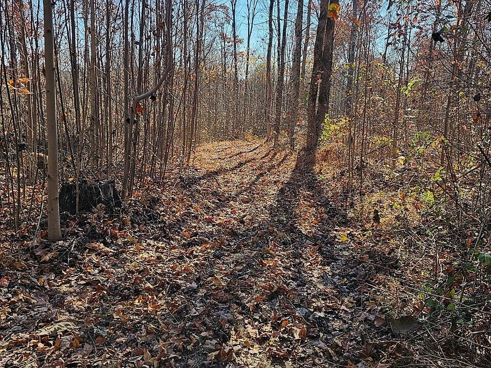2nd image of 3 Boone Hollow Rd