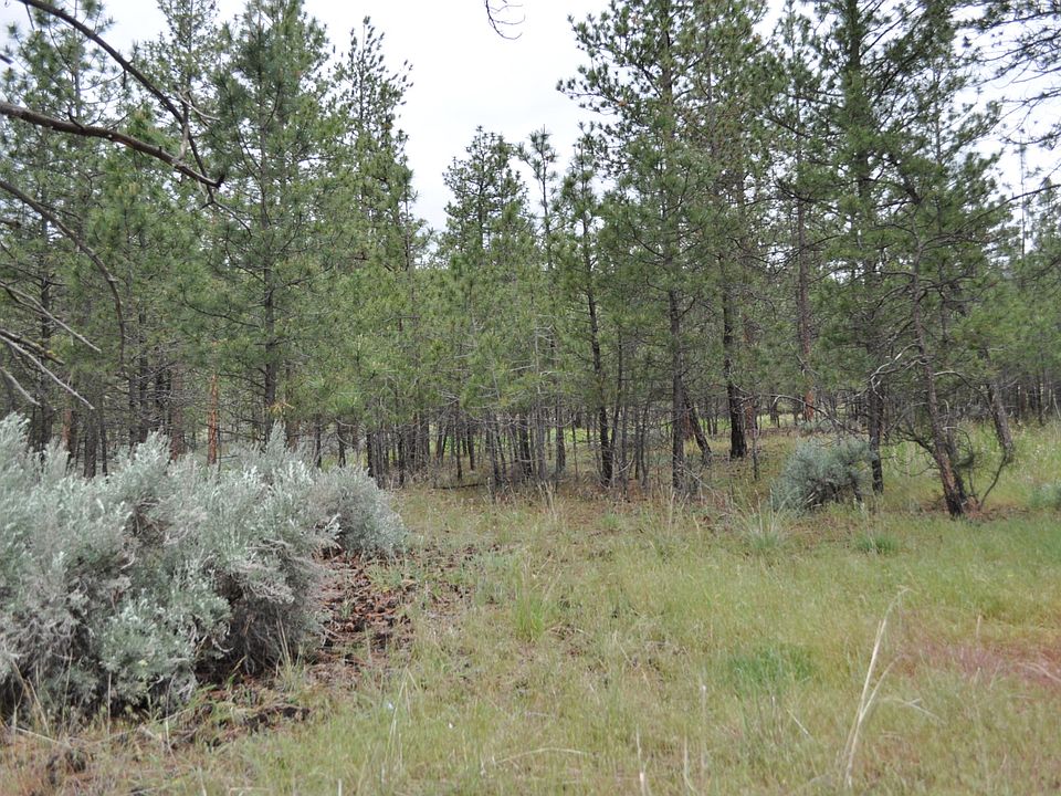 2nd image of 3133 Kinsler Ln