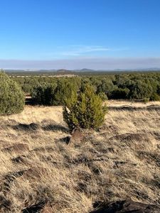 Colt Ln, Show Low, AZ, 85901
