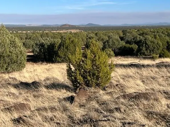 Colt Ln, Show Low, AZ 85901