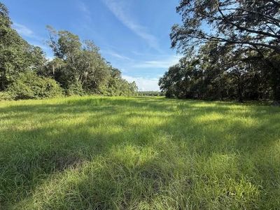 TBD NE 126th St, Bronson, FL, 32621