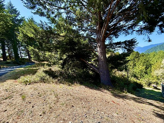 2nd image of 427 Humboldt Loop Rd