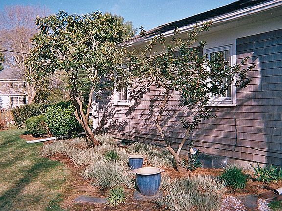 Harvey Replacement Windows