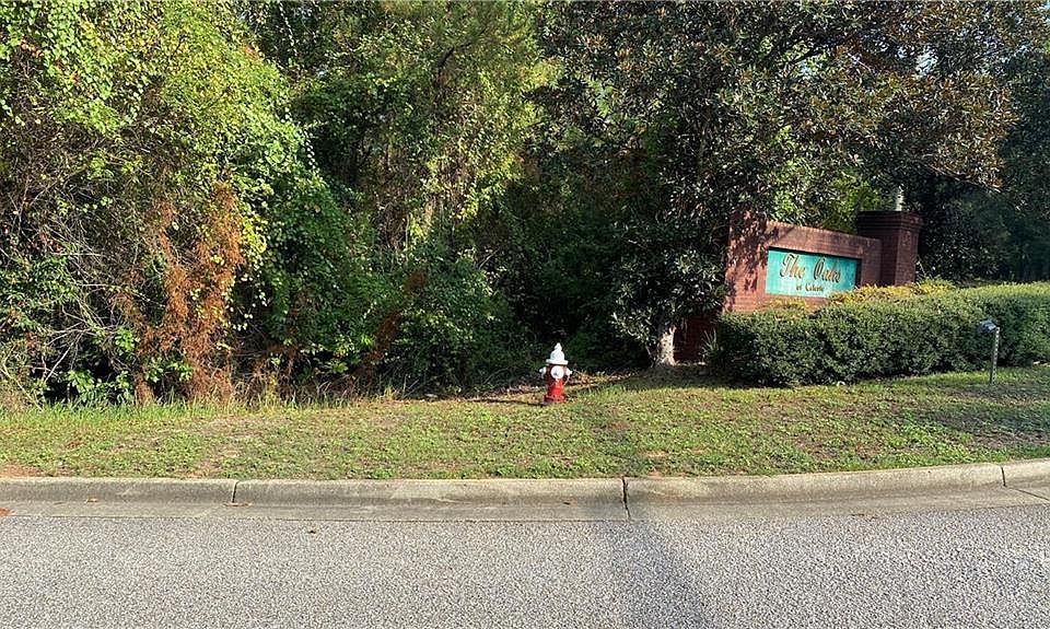 2nd image of Celeste Rd