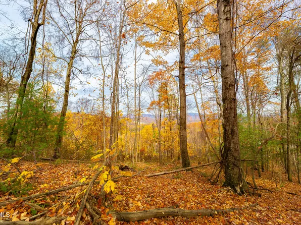 0 Siam Rd, Elizabethton, TN 37643