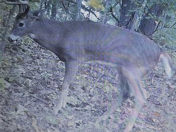 2nd image of 5 State Aa Rd