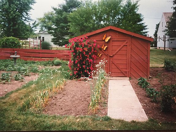 Backyard Shed