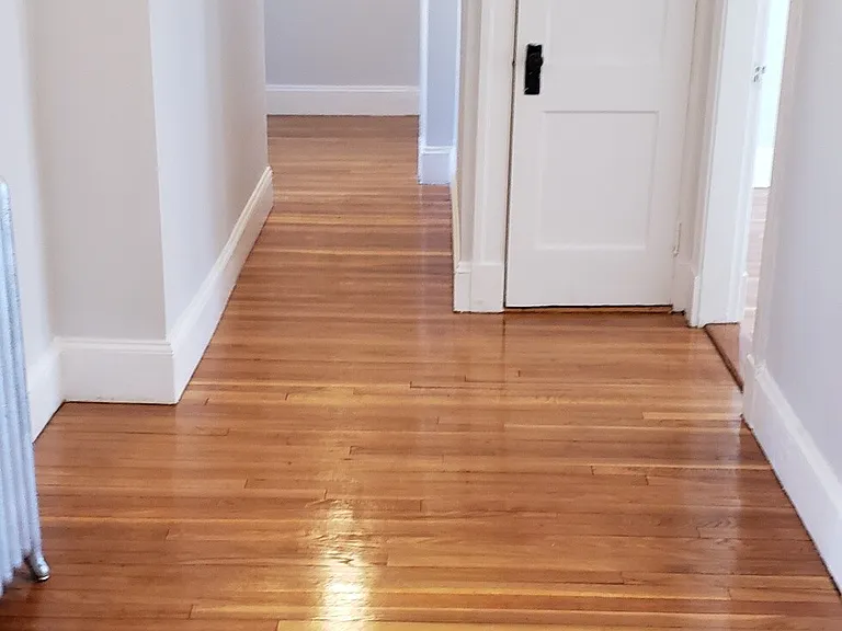 241 Freeman St #8 — Photo 13