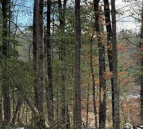 4th image of TBD East Long Lake Road