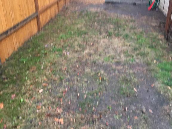 secured back fence