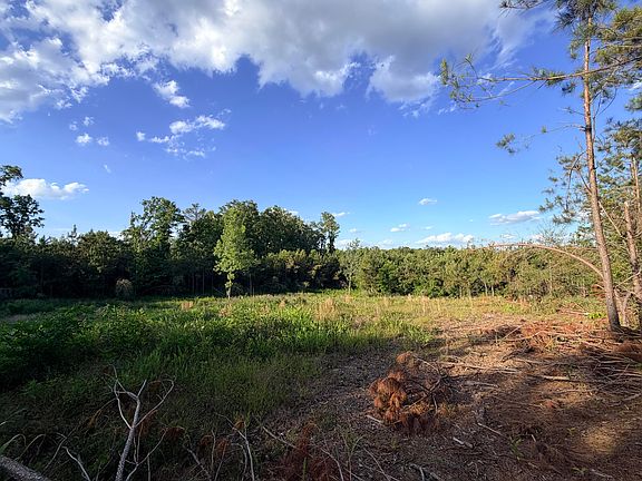2nd image of County Road 167