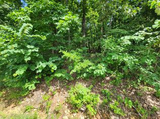 L37b12 N Lakeshore Cir, Cherokee Village, AR 72529