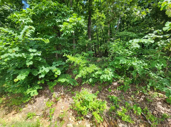 L37b12 N Lakeshore Cir, Cherokee Village, AR 72529