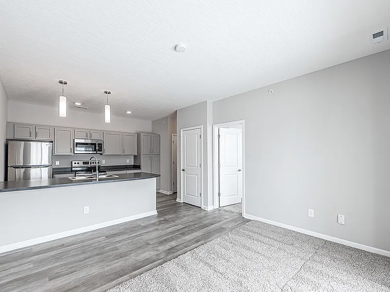 Seamless Connection Between Kitchen and Living Room