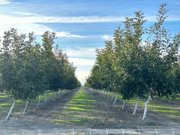 Wilson Ave, Colusa, CA 95932