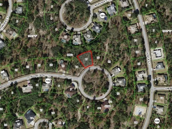 17 Rudbeckia Ct, Homosassa, FL 34446