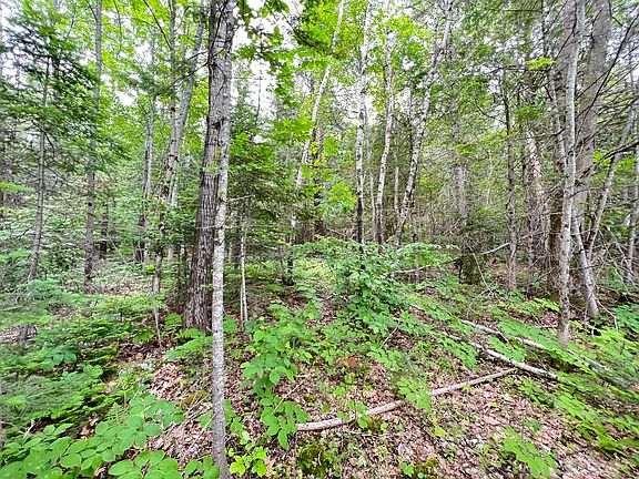 4th image of Lot 13 Off Pinkham Street