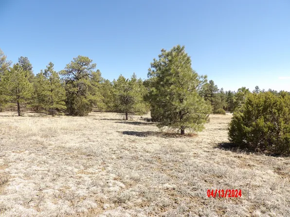 Unassigned County Rd #30.1, Boncarbo, CO 81024