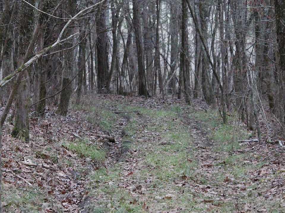 1st image of 4751 County Road 17