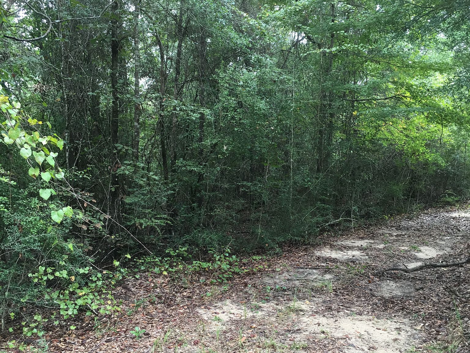 9205 Sand Ridge Rd, Citronelle, AL 36522 Zillow