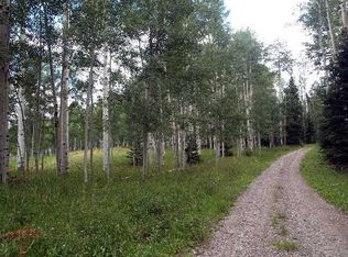 LOT 50 Woods Rd, Placerville, CO 81430