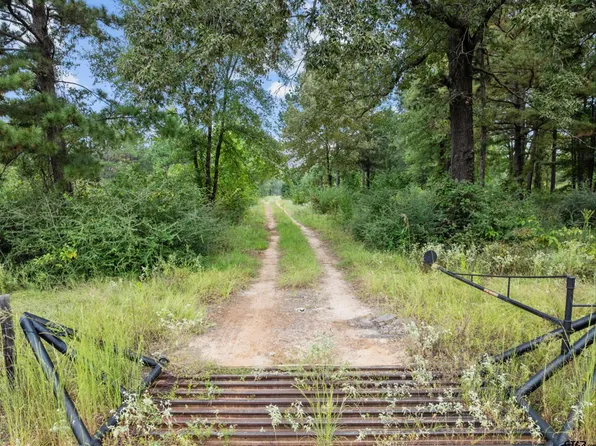 Tbd Fm 2659, Hawkins, TX 75765