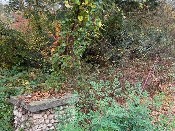4th image of 317 Roebuck Dr #2.000