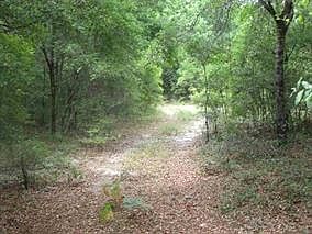 5th image of Lot 81 Coastal Highway