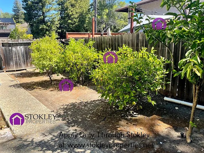 1833 Morello Ave — Photo 42