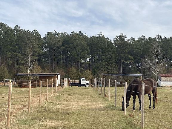 Fenced Horse pastures