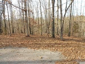 1st image of North Dr